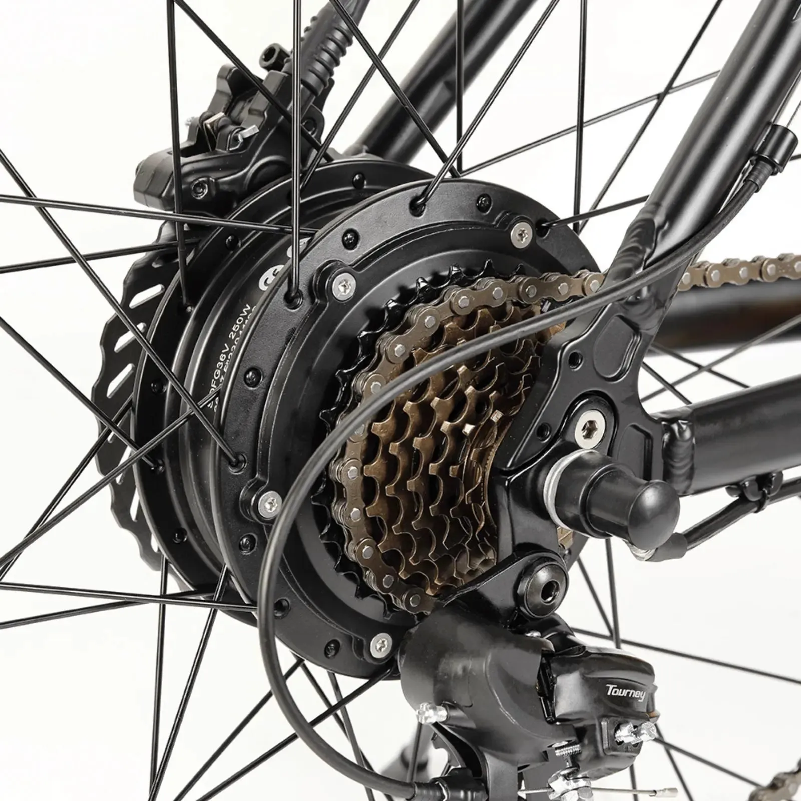 Eleglide M2 Electric Mountain Bike 570W Black